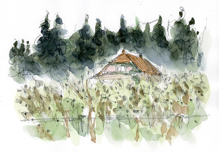 ぼうぼうと伸び放題の枯草に奥に赤屋根の畜舎?らしき建物が、杉林のさらに奥は「八甲田連峰」