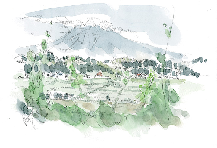 ほぼ田植の終えた津軽地方。水蒸気が多いのか、この日も遠くの「岩木山」はくすんでいた。