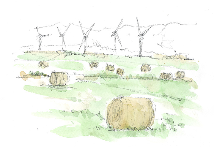 田んぼのある全景