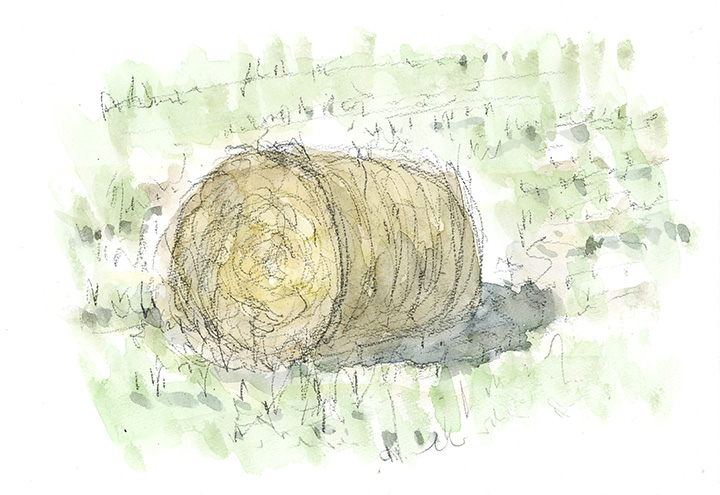 広々とした田んぼのそちこちに置かれている稲刈り後の大きな稲藁の固まり、これをroll baleと言うらしい。