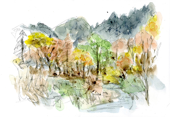 小さな川の周辺に、赤や黄色にオレンジの紅葉色が満載。