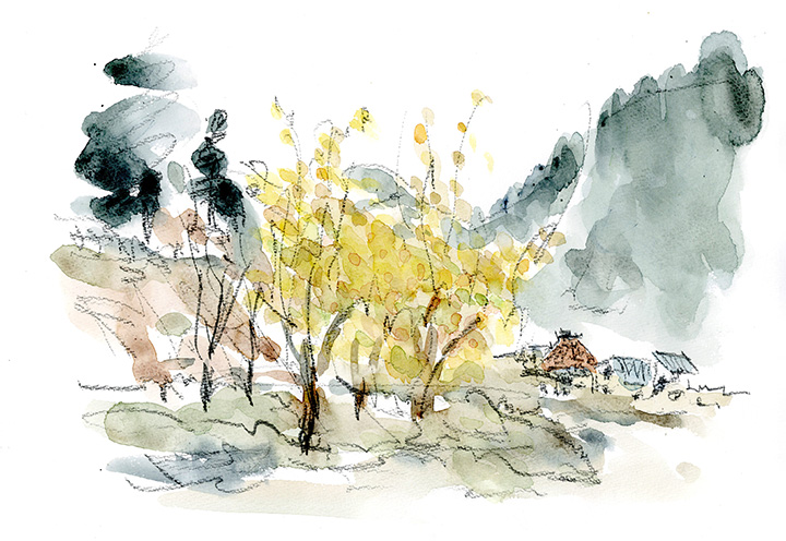 今年の紅葉は久しぶりに鮮やかだ。実を付ける様々な木々も冴えた色合い、この「サクランボの木」も曇り空に踊っていた。