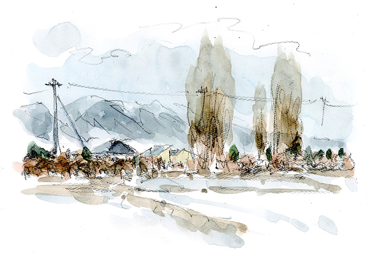 いつもは遠くから眺めている背の高い数本の木（イチョウ？）、この日はその木の下の民家を取り上げてみた。