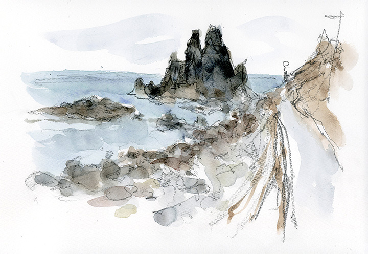 これが権現崎岬の岩礁?この時は土砂崩れの為と言う事で通行止め。